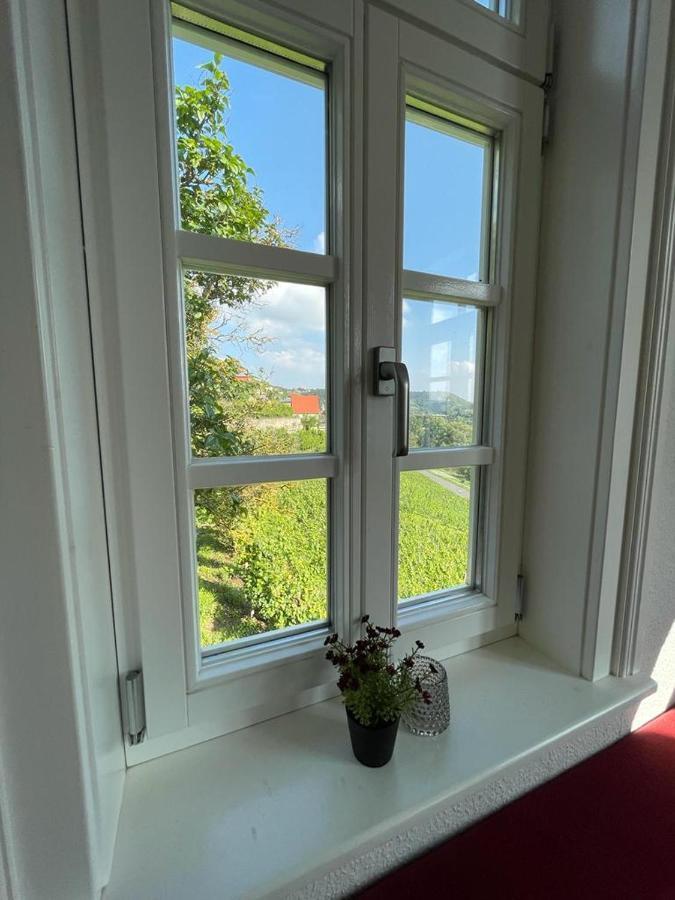 Ferienhaus Traminer Im Weinberg Фрейбург Экстерьер фото