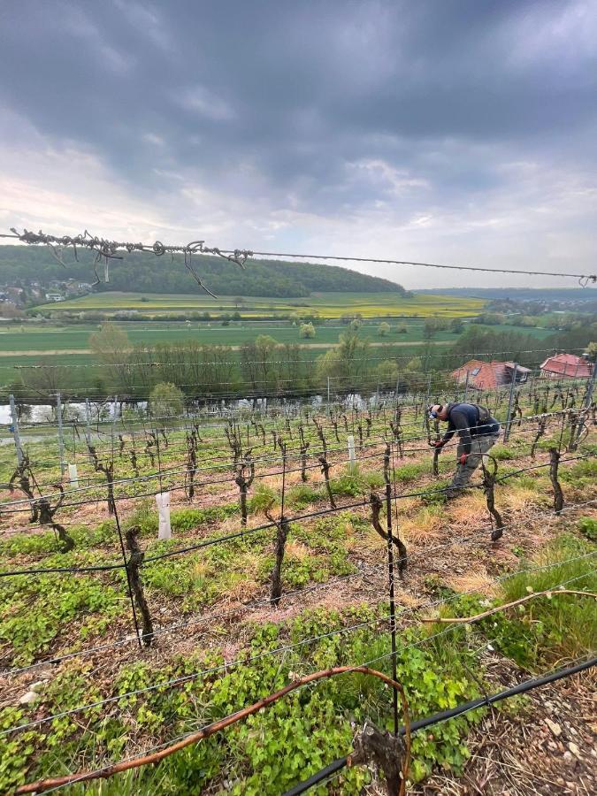 Ferienhaus Traminer Im Weinberg Фрейбург Экстерьер фото
