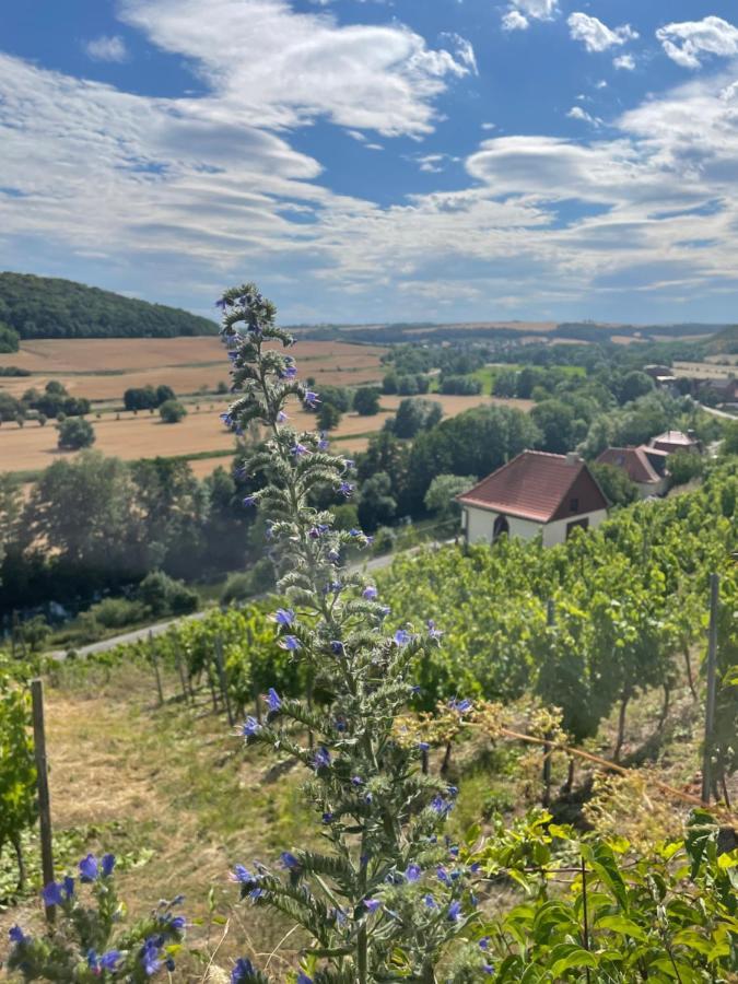 Ferienhaus Traminer Im Weinberg Фрейбург Экстерьер фото